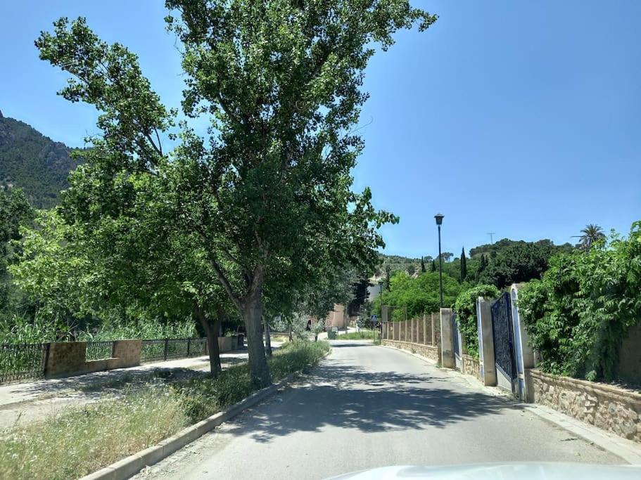 Apartamento Tranquilo Cerca De Zonas Verdes ثيثا المظهر الخارجي الصورة