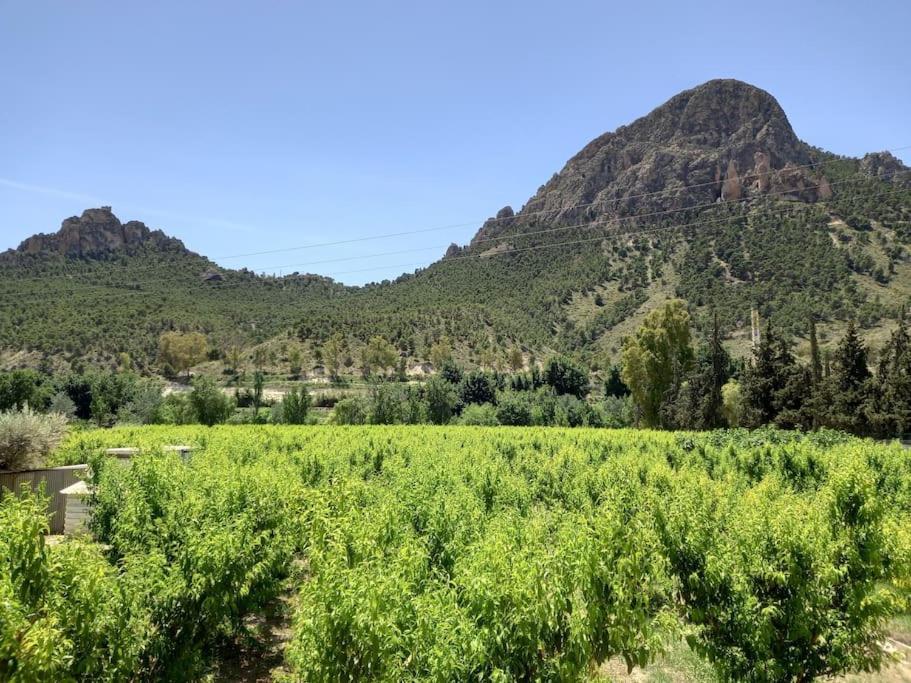 Apartamento Tranquilo Cerca De Zonas Verdes ثيثا المظهر الخارجي الصورة
